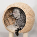 100cm Cat Tree Tower Kitten Climbing Tower W/ Scratching Post Condo  Pawhut - Samanta Factory